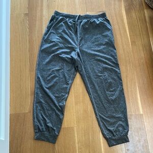 Women’s Quince Gray Jogger Pants